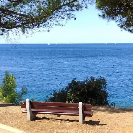 Apartament Pino