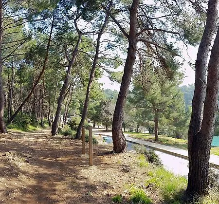 דירה Pino פולה