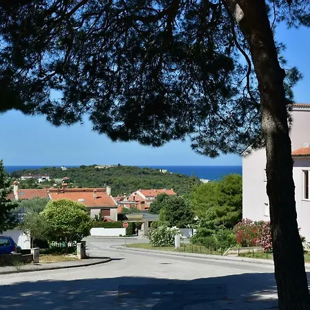 Apartament Pino